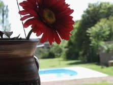 Habitaciones en Shanti Hostel